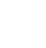 Animate logo